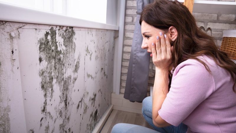 Quel est le coût d’un diagnostic humidité maison ?