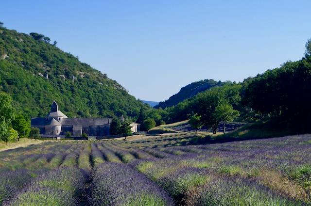 Découvrez les meilleures destinations campagnardes en France